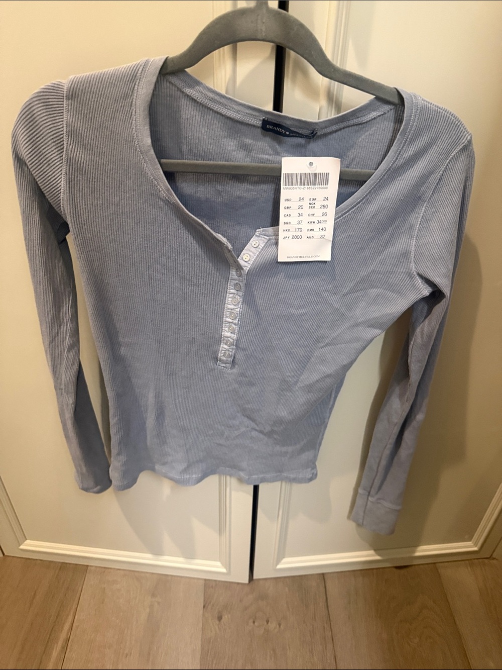 Brandy Melville Light Blue Ribbed Henley Long Sleeve Top - Button Placket